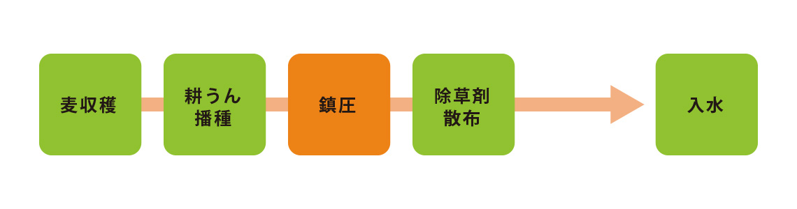 鎮圧作業の必要性と工程